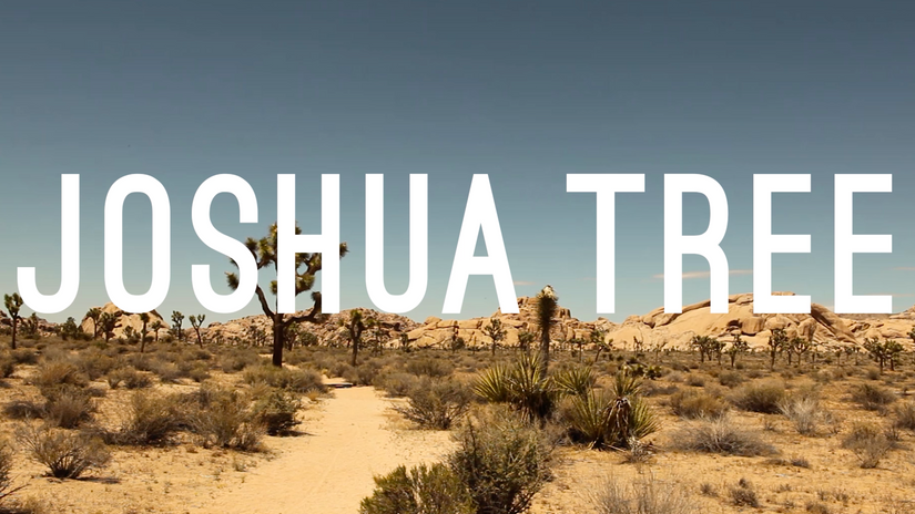 TOMS - Joshua Tree